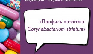 вебинар «Профиль патогена: Corynebacterium striatum» - 1 вебинар «Профиль патогена: Corynebacterium striatum» - фото - 1