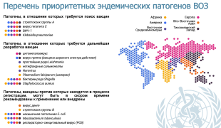 перечень приоритетных эндемических патогенов ВОЗ - фото - 1